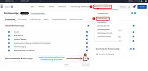 Wie erstellt man einen vollständigen Bericht bei Interactive Brokers?